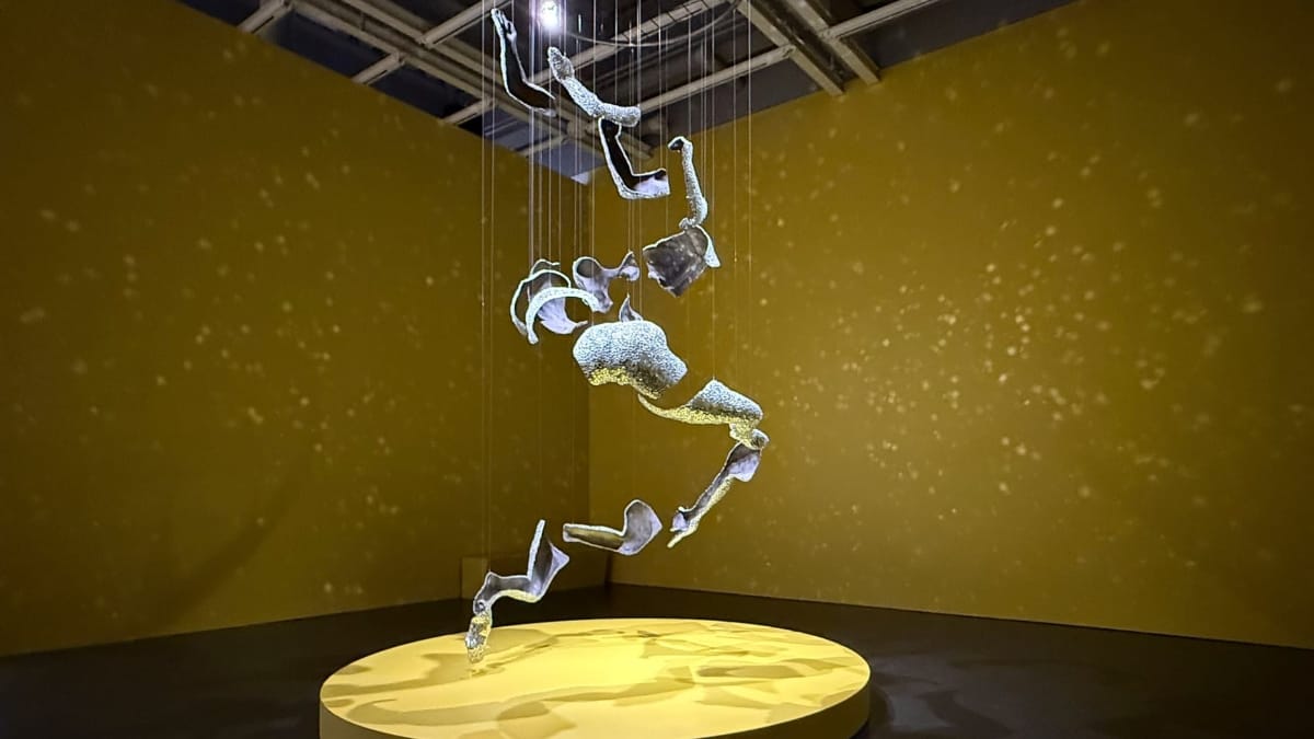 双年展的余波：当代艺术生态扫描