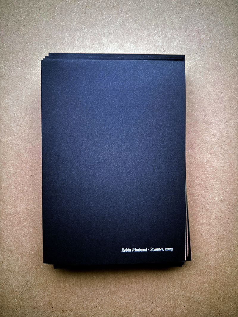 代码诗学：Scanner的《VOICE_ERASE.PY》与声音艺术的消逝之美