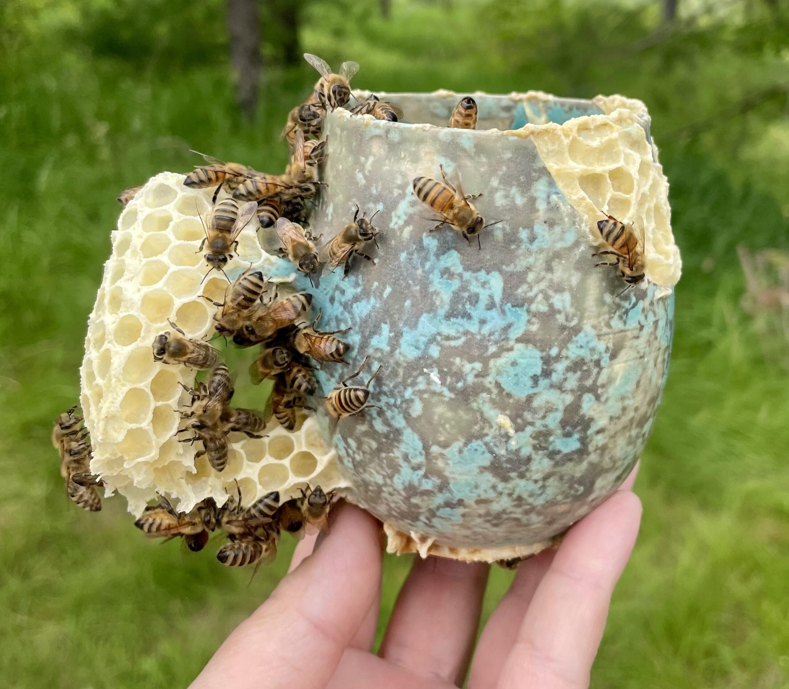 蜂巢金缮：Ava Roth的自然修复美学
